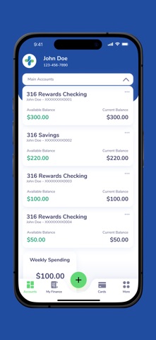 316 Financial Screenshot 2 of 5