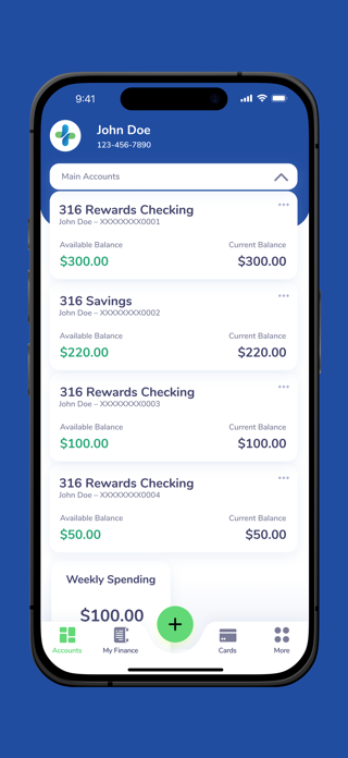 316 Financial Screenshot 2 of 5