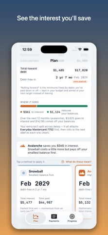 Debt Descent: Payoff Planner iPhone screenshot