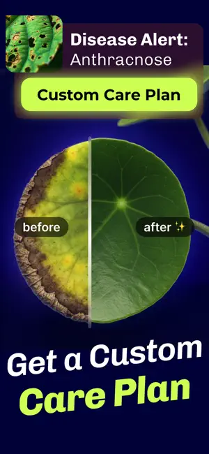 AI Plant Identifier: DrPlant screenshot 3