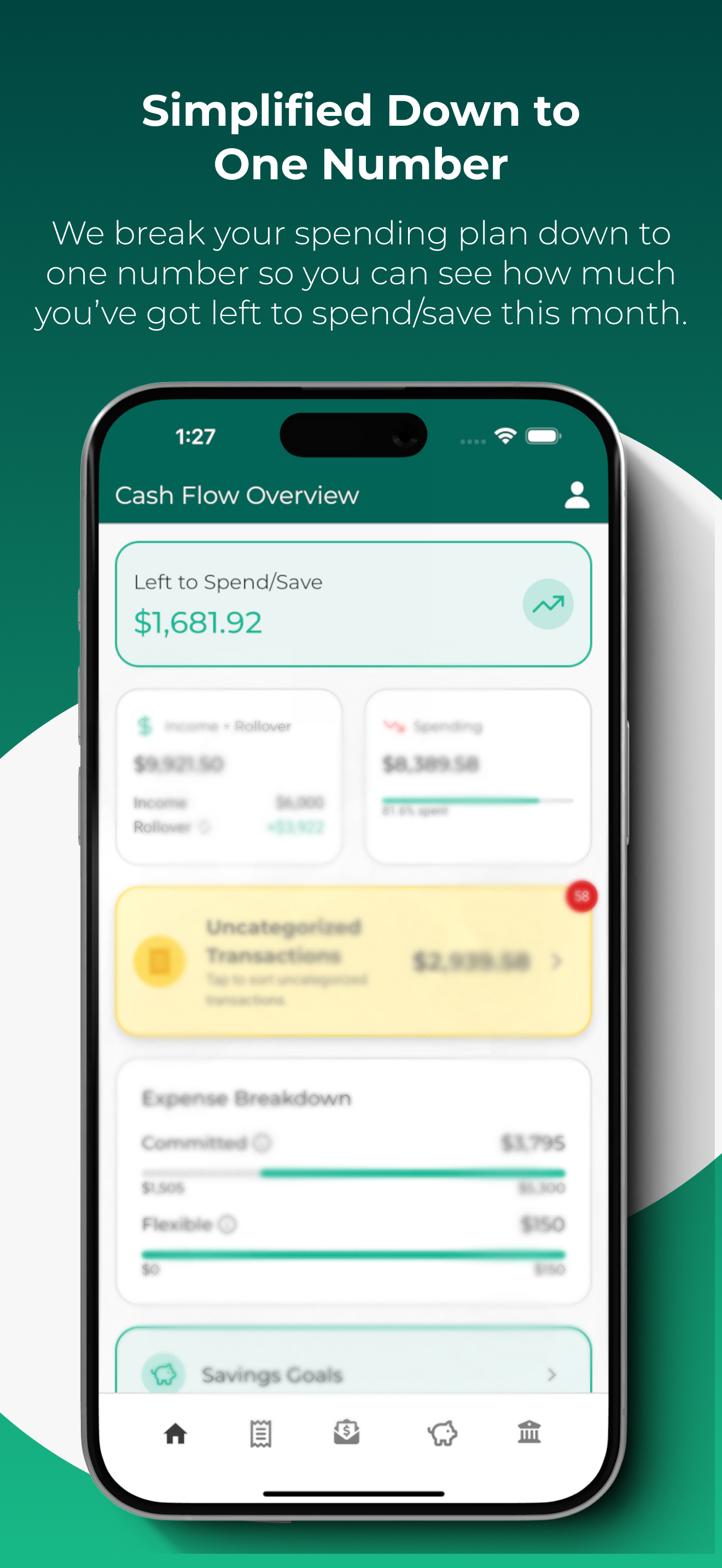 Cash Flow and Capital