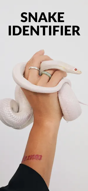Snake Identifier: Serpiq screenshot 1