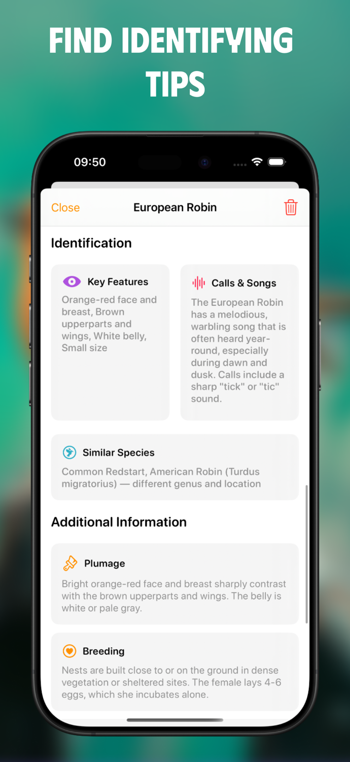 Bird Identifier BirdScout