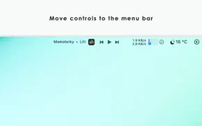 tiny player : spotify & music айфон картинки 3