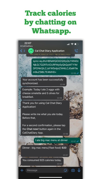 CalChatDiary