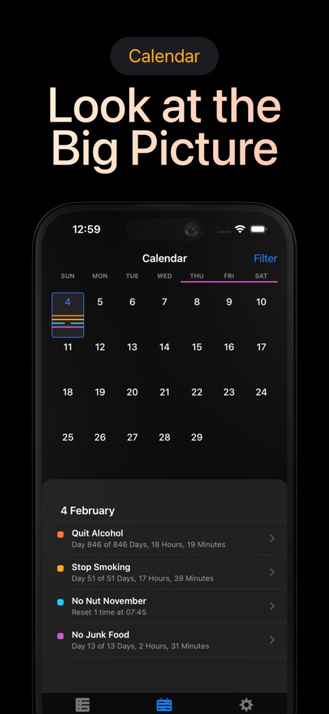 Days Since: Quit Habit Tracker - The calendar provides a clear historical overview, enabling users to visually track their habit progress across specific dates and review daily counter statuses.