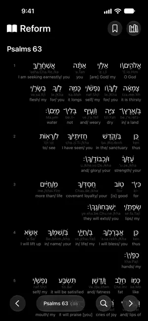 Reform Study screenshot 4