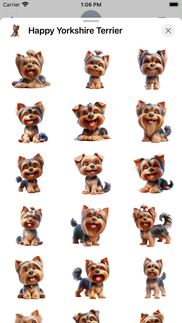 Happy Yorkshire Terrier