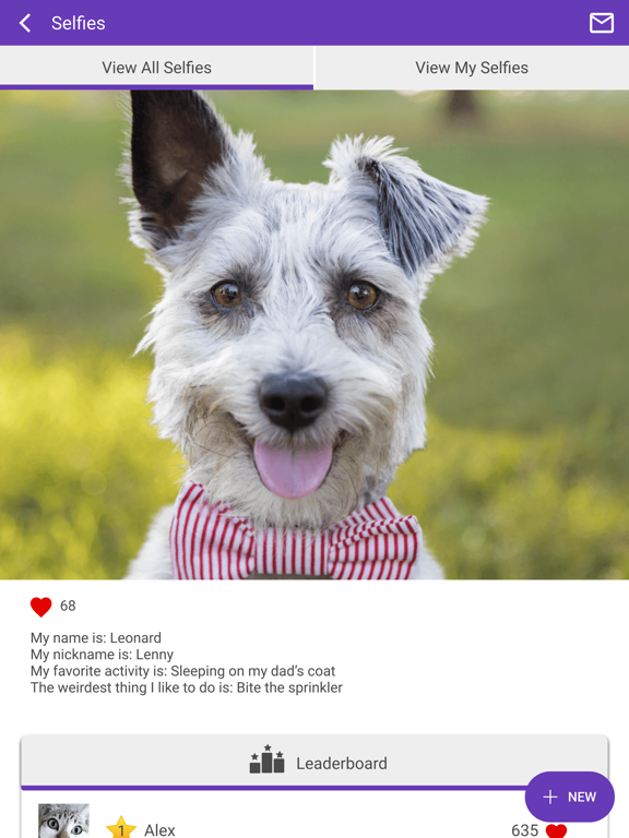 Wisdom Animal Hospital iPad screenshot 4 - Business app