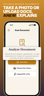 Divorce Planning AI: Anew screenshot 5