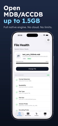 Access Database Viewer: MDB AI app screenshot