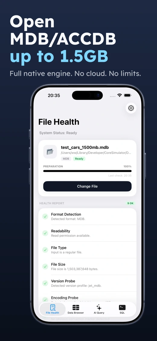 Access Database Viewer: MDB AI screenshot 1