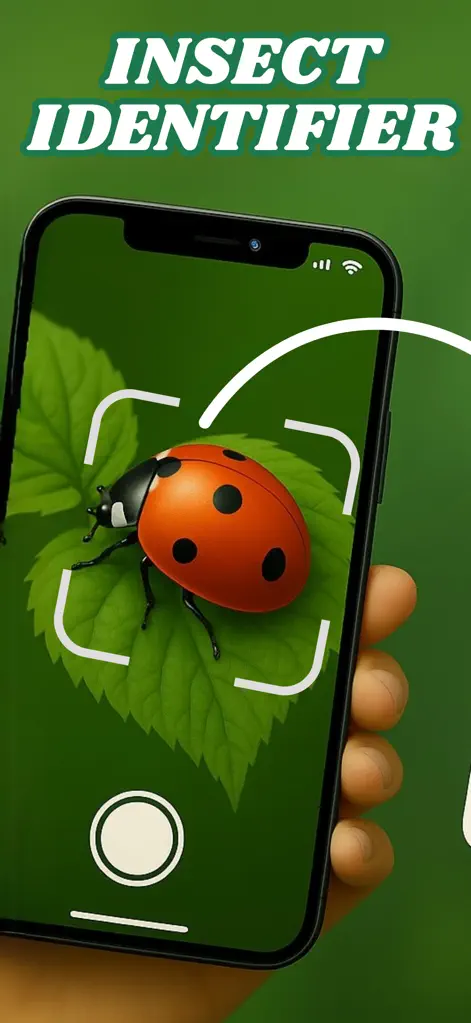 Insect Identifier: Picture AI - Education App | MWM