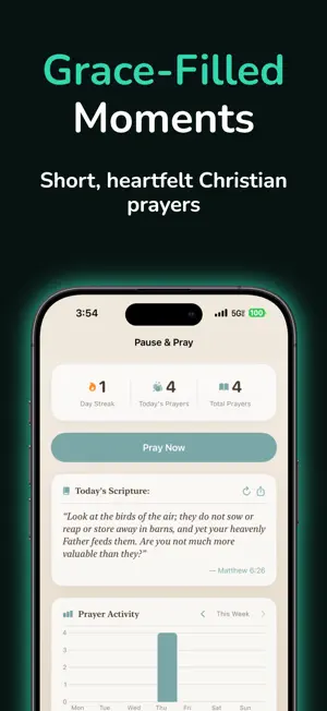 Pause & Pray screenshot 3
