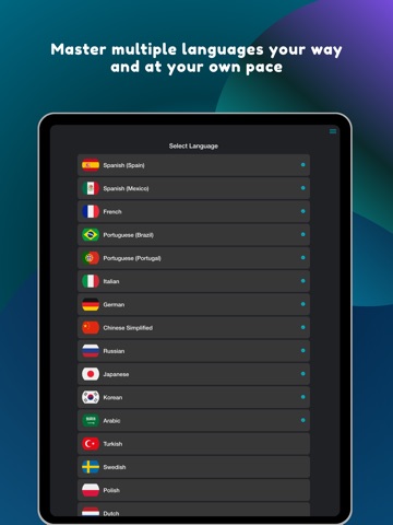 LingoYak: AI Language Tutor iPad screenshot
