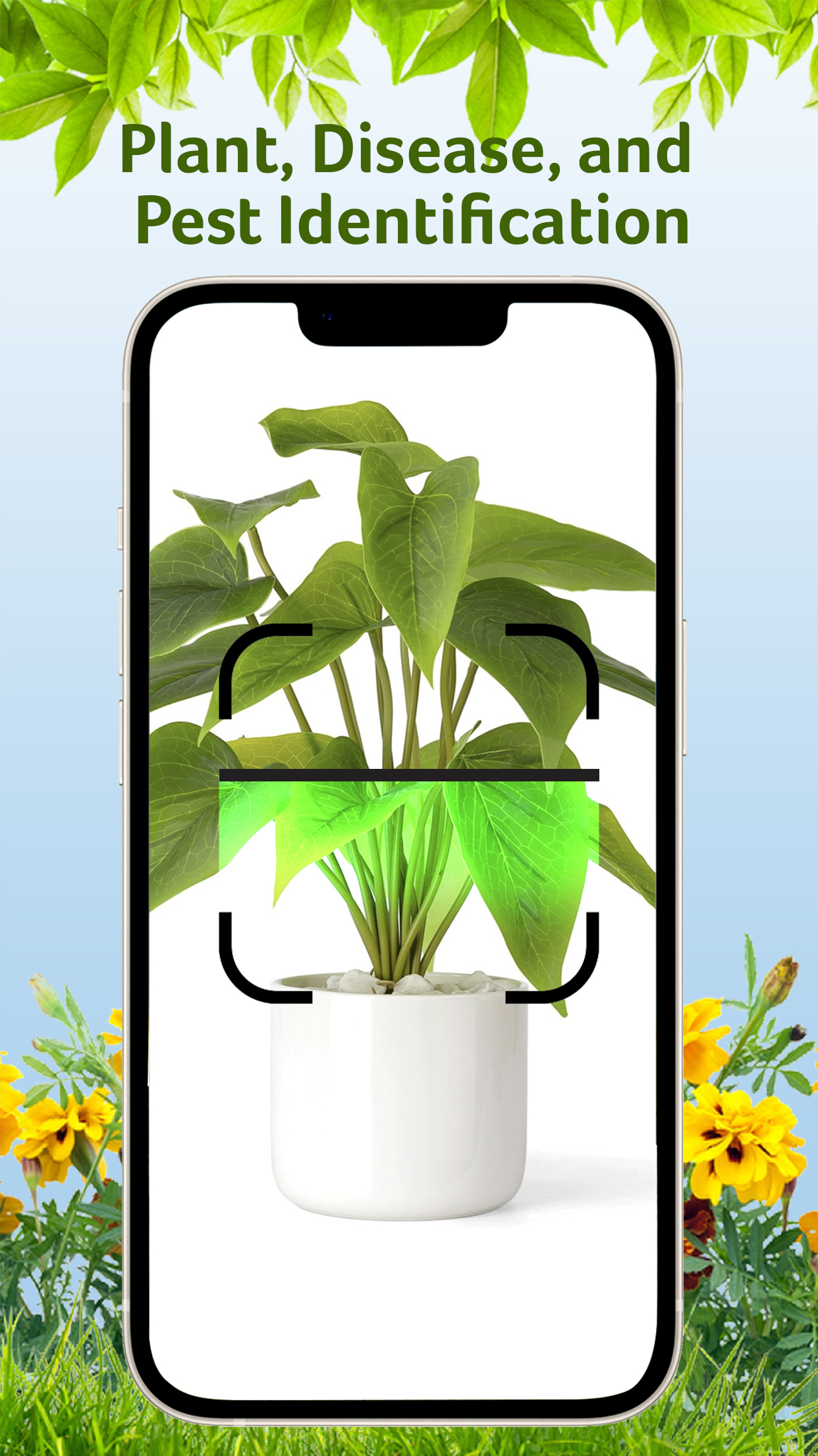 Garden Savvy