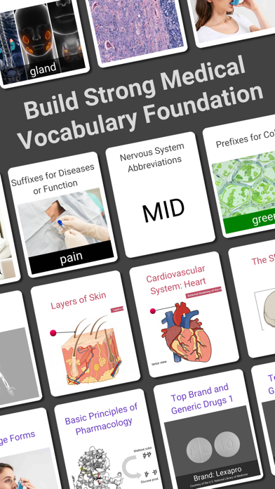 Medical Findings Screenshot