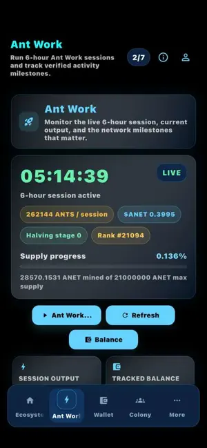 A Network screenshot 3