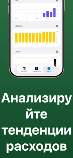 Скриншот Бюджет и Финансовый План на iPhone 4