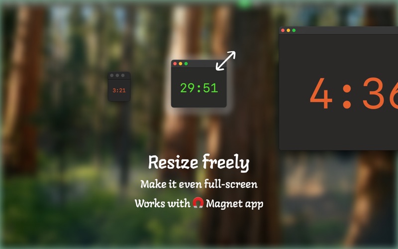 Thymer: Simple Timer screenshot