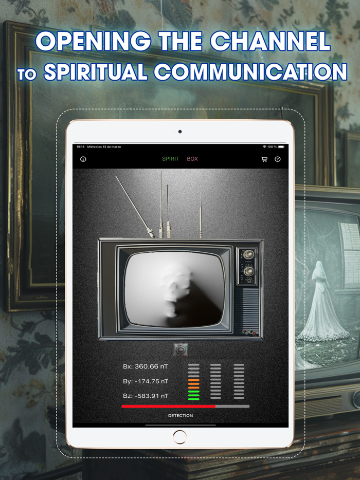 Ghost and Spirit Box Detector