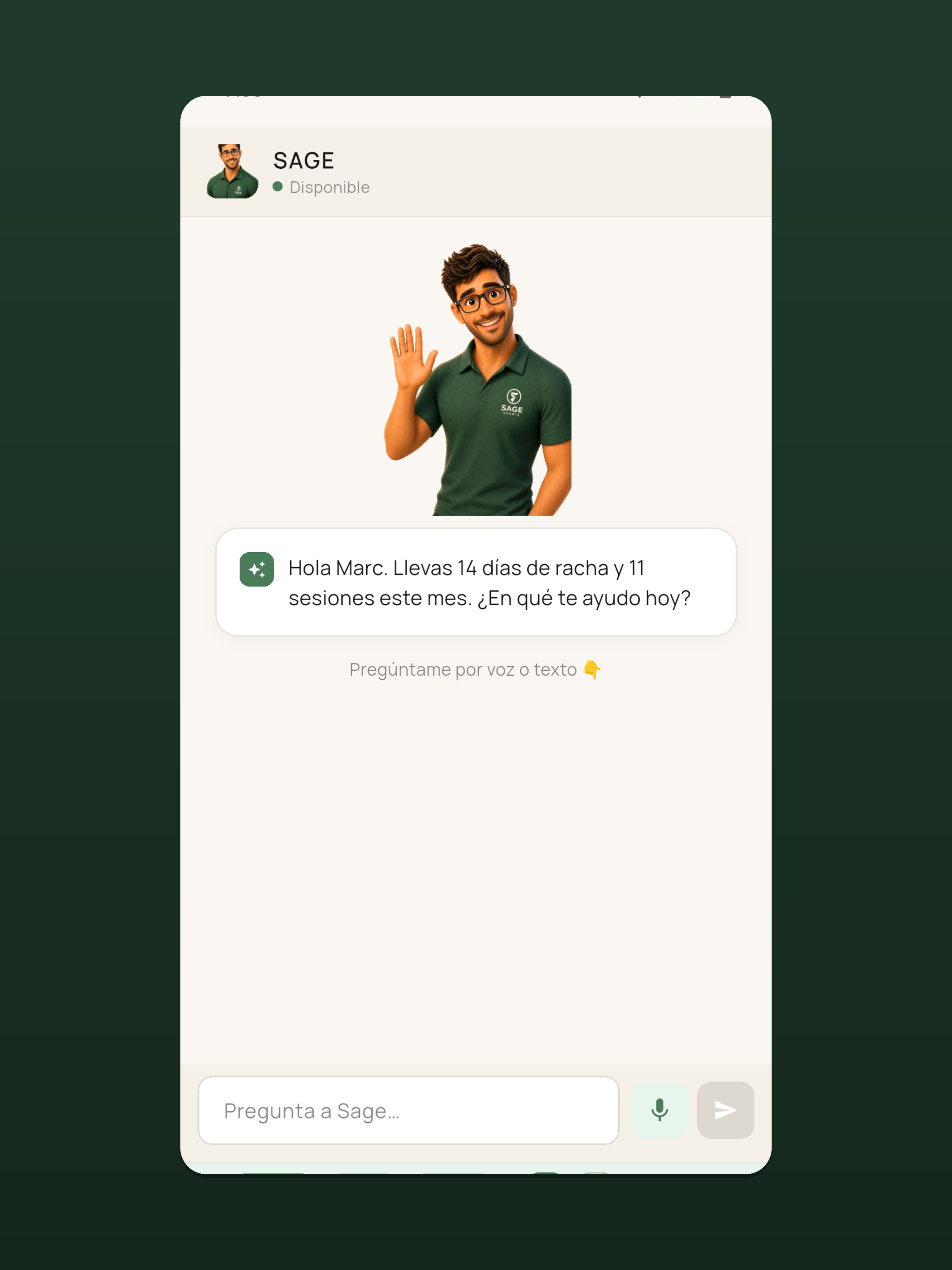Sagesport screenshot 9