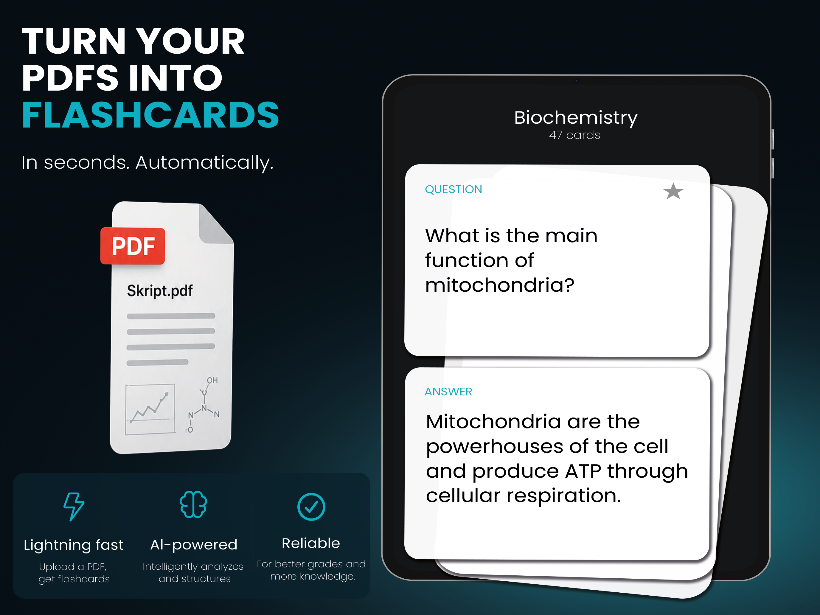 BrainCell | Flashcards