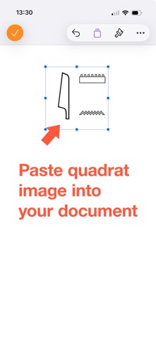 Egyptian Hieroglyphic Quadrat screenshot