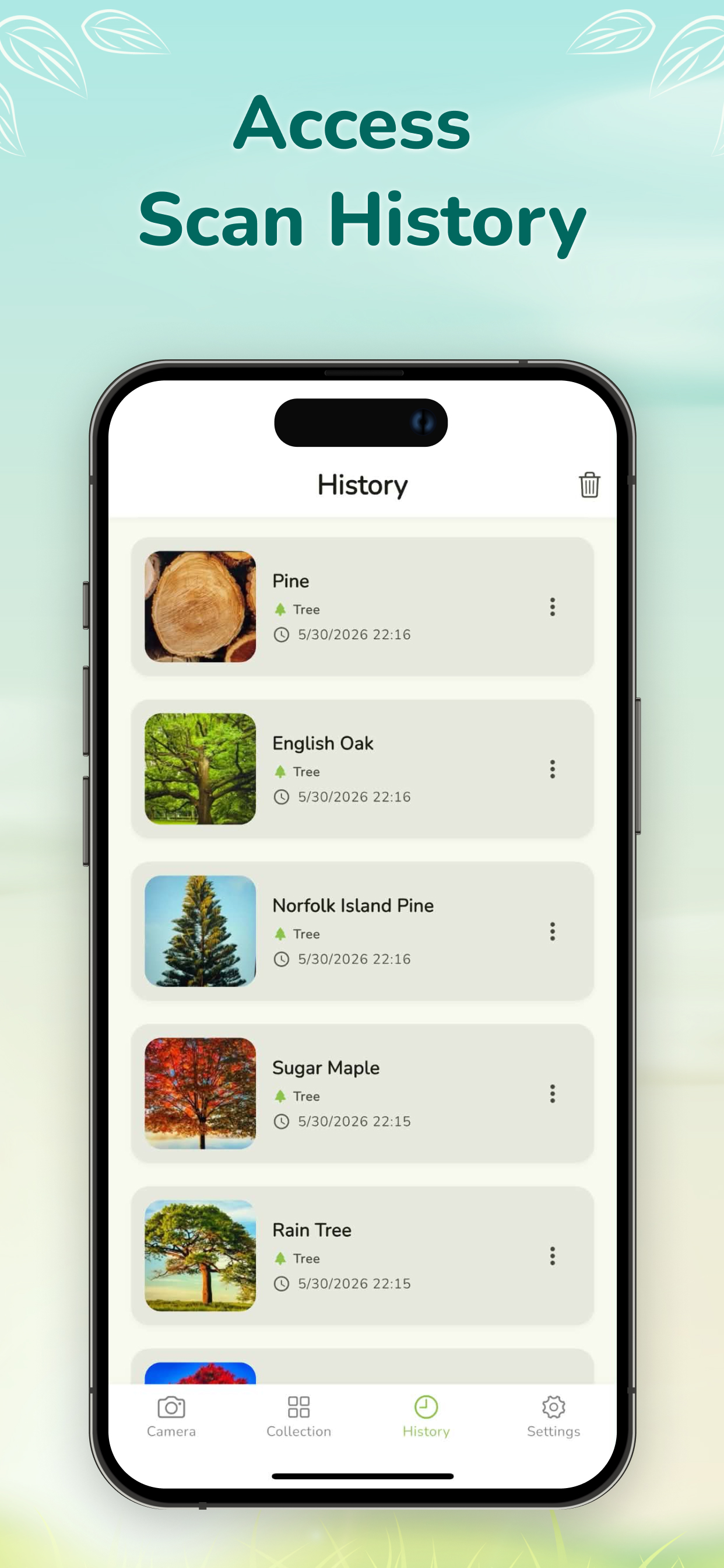 Tree Identifier: Plants & Wood screenshot 7
