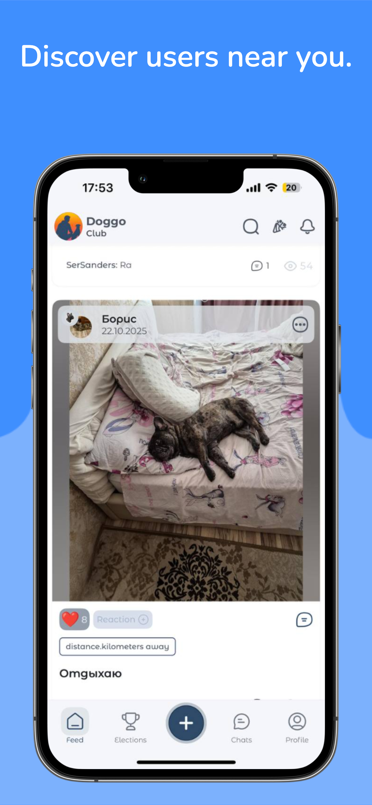 DoggoClub screenshot 4
