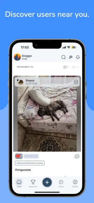 DoggoClub screenshot 4