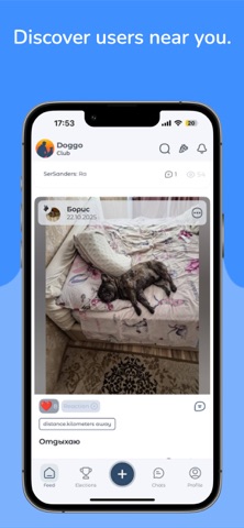 DoggoClub Screenshot 4 of 5