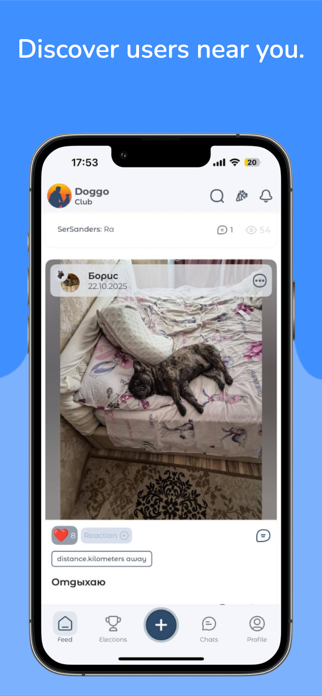 DoggoClub Screenshot 4 of 5