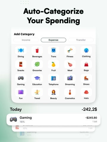 Budget App - Expense Tracker iPad screenshot