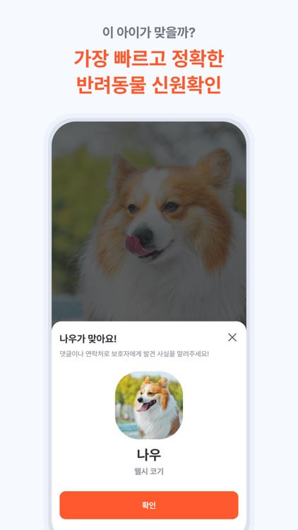 펫나우 screenshot-5