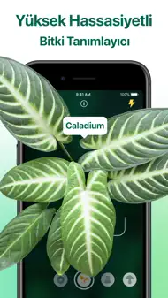 Plantum・Bitki Ve Yaprak Tanıma iphone resimleri 1