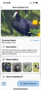 Bird Identifier: AI Scanner screenshot #5 for iPhone