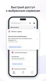 Госуслуги Москвы айфон картинки 1