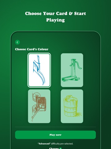 Dutch Blitz - Card Game iPad screenshot