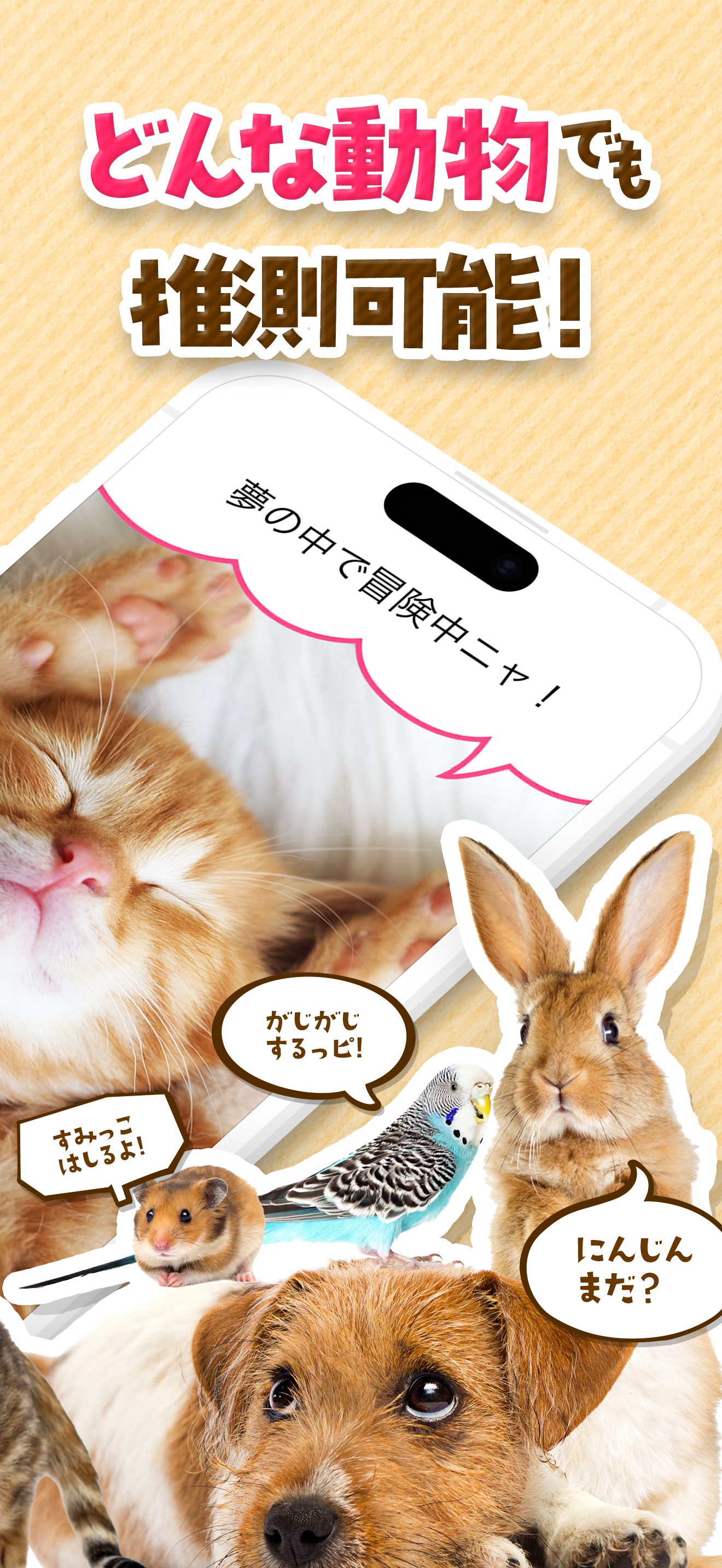 ペットの気持ちAI -犬・猫語で表情を翻訳(ペットのきもち) screenshot 3