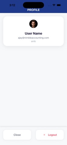 Nimble Accounting LLC screenshot