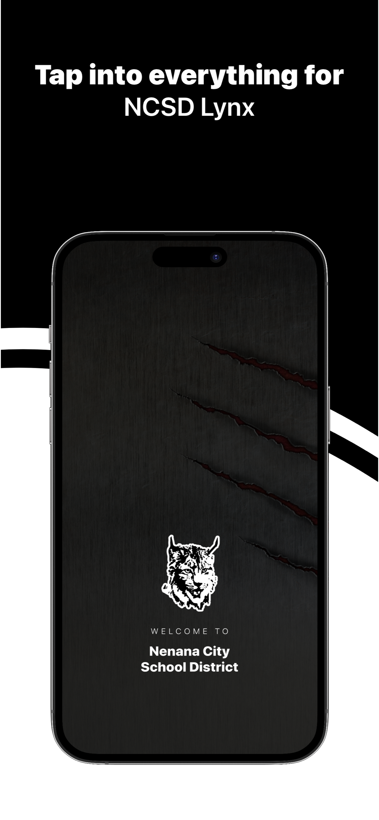 Nenana School District