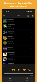 Export Audio screenshot 4