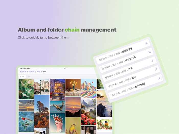 Sorter  Photo Organizer