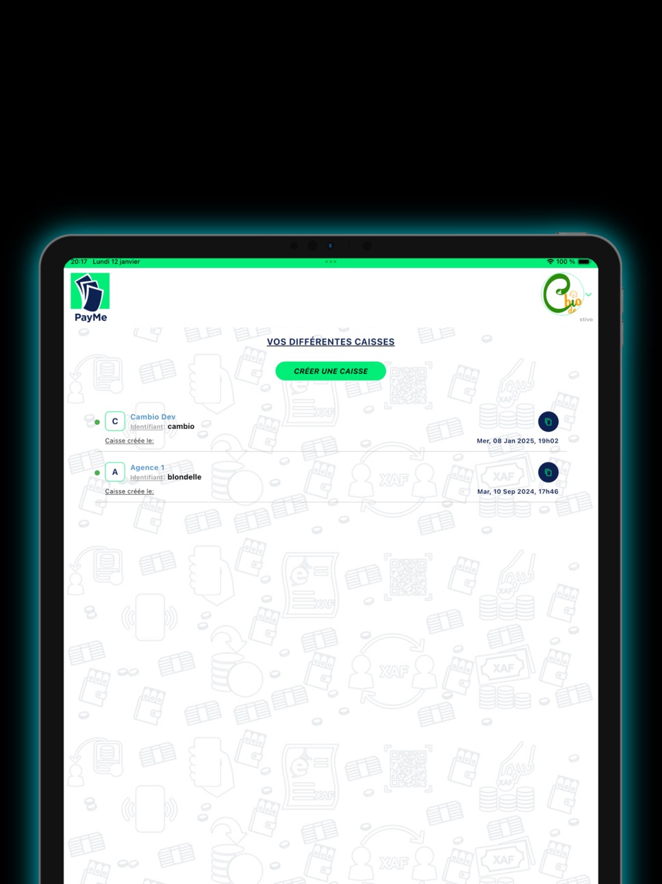 iPad screenshot