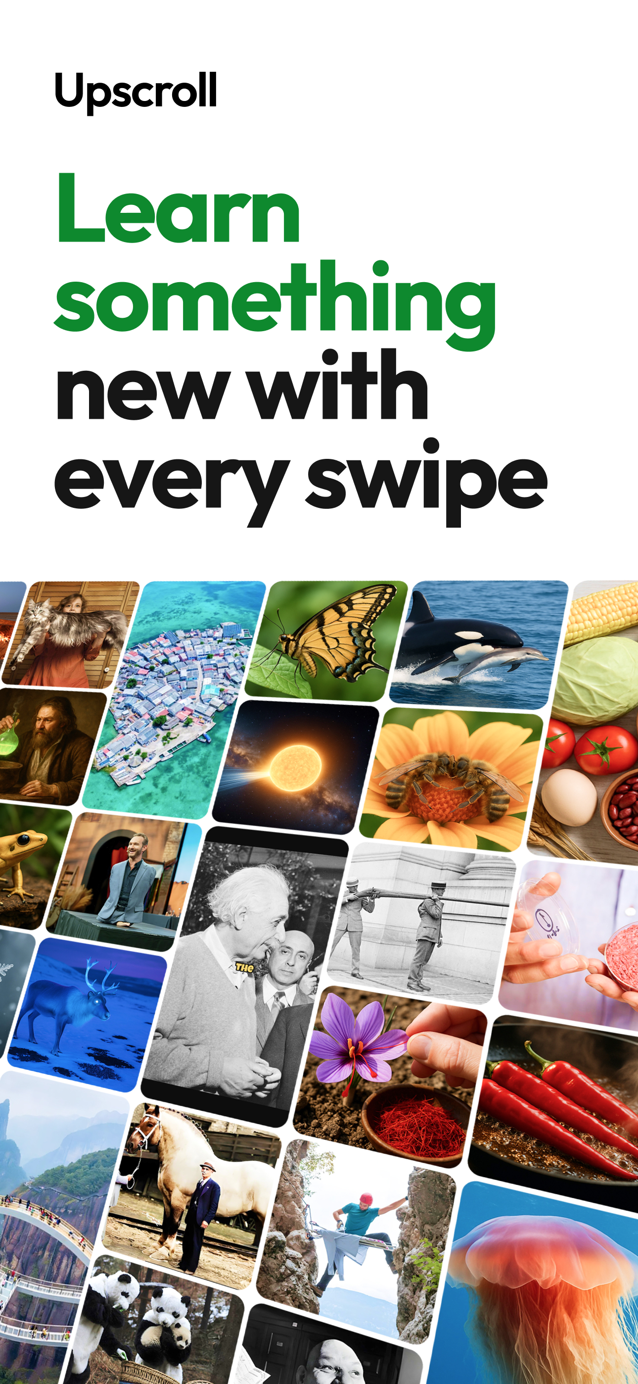 Daily Facts & Shorts: Upscroll