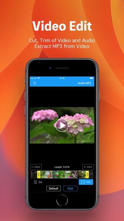 MovieVault ~ File Manager