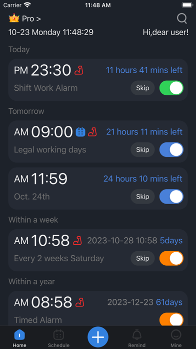 Dr. Alarm-schedule manager Screenshot