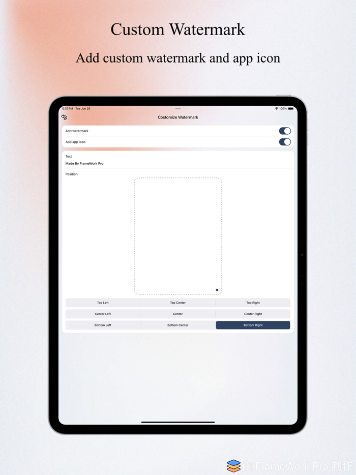 FrameWork Pro - Screenshot