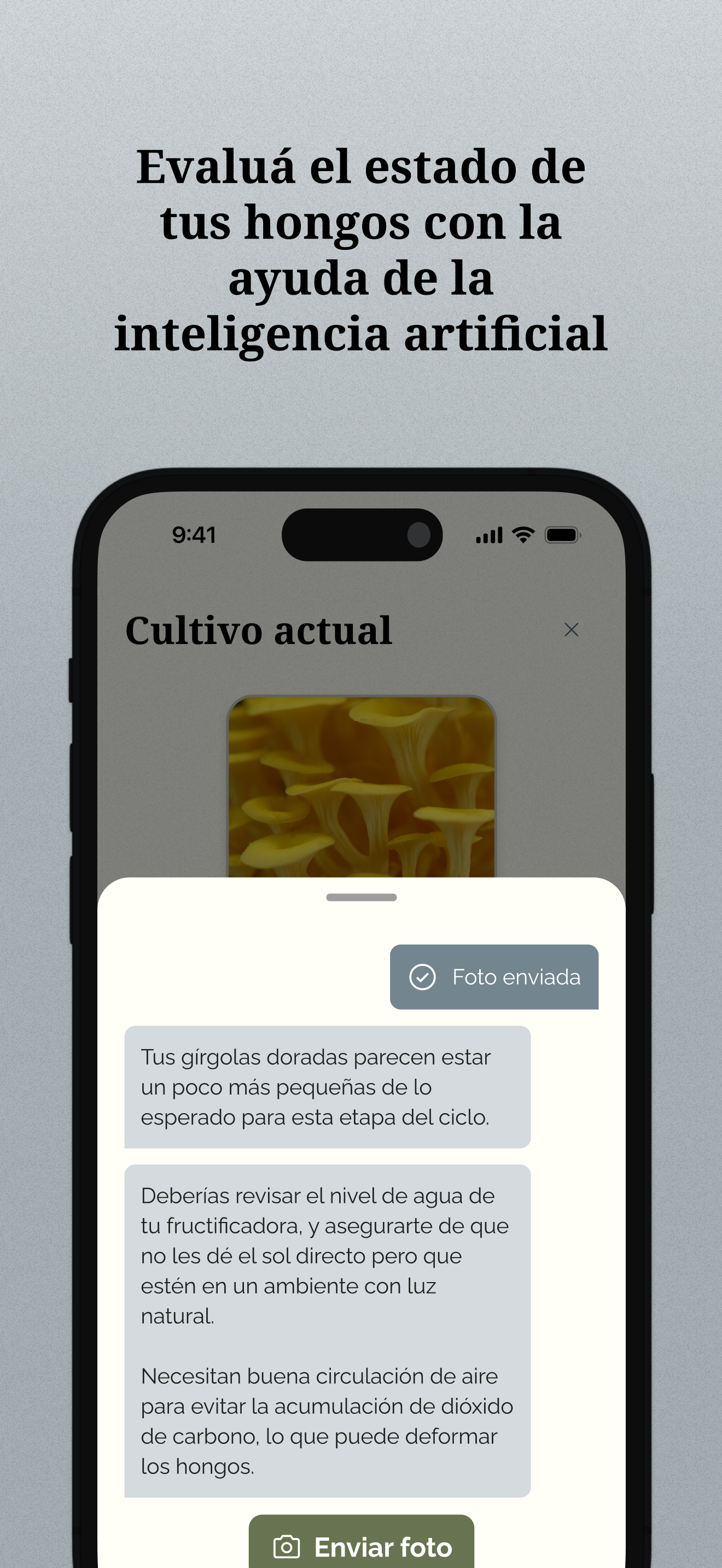 SmartFungi screenshot 5
